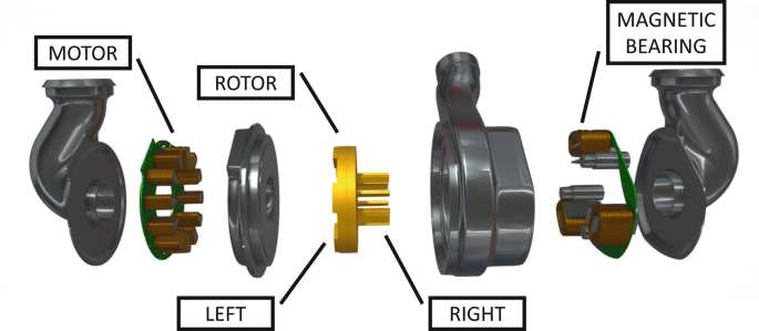 Bivacor heart detailed