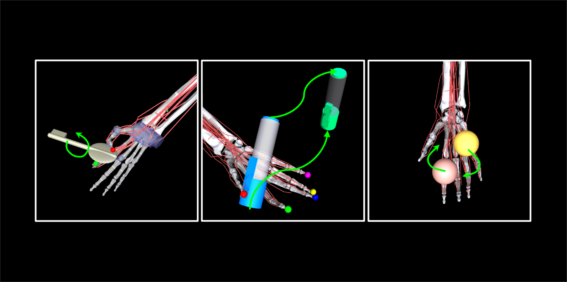 MyoSuite: The AI Platform That Can Simulate Human Muscles—and Transform Medicine
